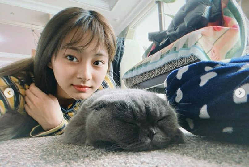 Twiceツウィが可愛いネコとの写真を投稿 Nomnomkiyow
