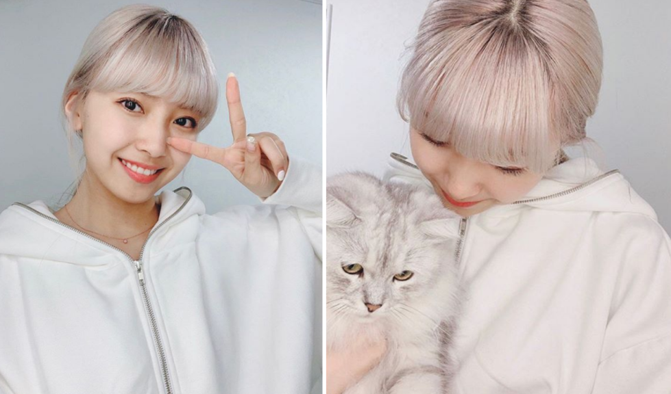 Niziuマユカが可愛い愛猫との写真を公開 ホワイトカラーの髪色も話題に Nomnomkiyow