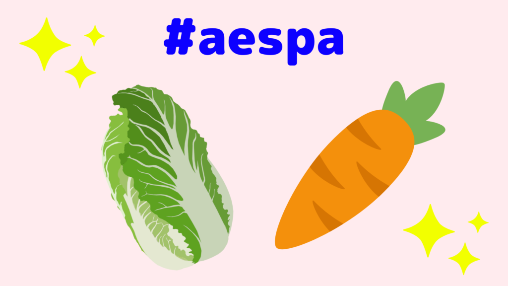 Aespaのペンライトの代わりは白菜 ニンジン 面白い応援方法が話題に Nomnomkiyow